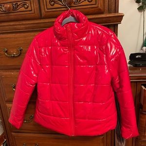 Beautiful red shiny coat